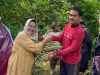 Rumput Gajah Varietas Unggul Inovasi Fakultas Peternakan Unhas Dibagikan Gratis ke Peternak