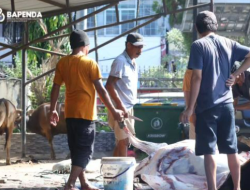 Momentum IdulAdha 1445 H, Bapenda Kota Makassar Gelar Pemotongan Hewan Kurban