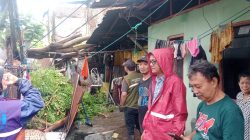 Pohon Tumbang di Jalan Bulu Dua Stapak 2 Lariangbangi Langsung Ditangani