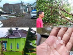 Hujan Deras Akibatkan Pohon Tumbang dan Atap Rumah Warga Terbang, Camat Biringkanaya : Segera Kami Tindaklanjuti