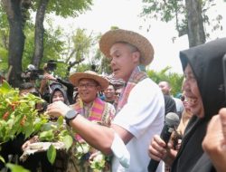 Camat Panakkukang Dampingi Ganjar Pranowo dan Danny Pomanto Panen Cabai dan Ikan Nila