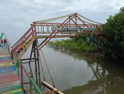 Hutan Mangrove Lantebung Jadi Unggulan Lorong Wisata di Kecamatan Tamalanrea