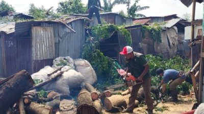 Tindaklanjuti Instruksi Camat, Satgas Kecamatan Panakkukang Evakuasi Pohon Tumbang di Jalan Adhyaksa dan Taman Pakui