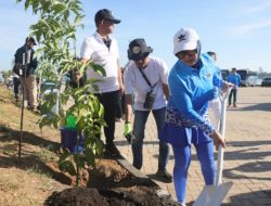 Tambah Luasan RTH Makassar, 150 Pohon Tabebuya Bakal Ditanam Pada Gelaran APEKSI 2023